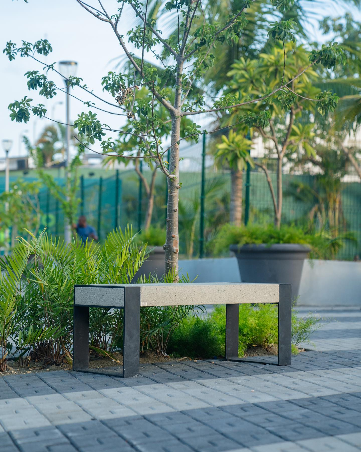 Portada prensa GOLA Urbano